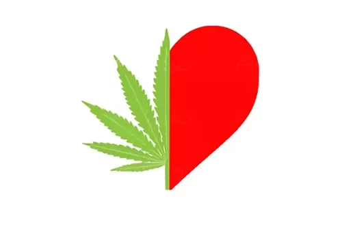 Cannabis et santé cardiaque